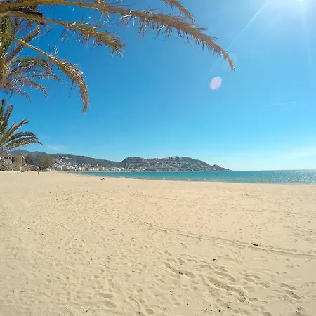 Inmosantos Oasis B7
